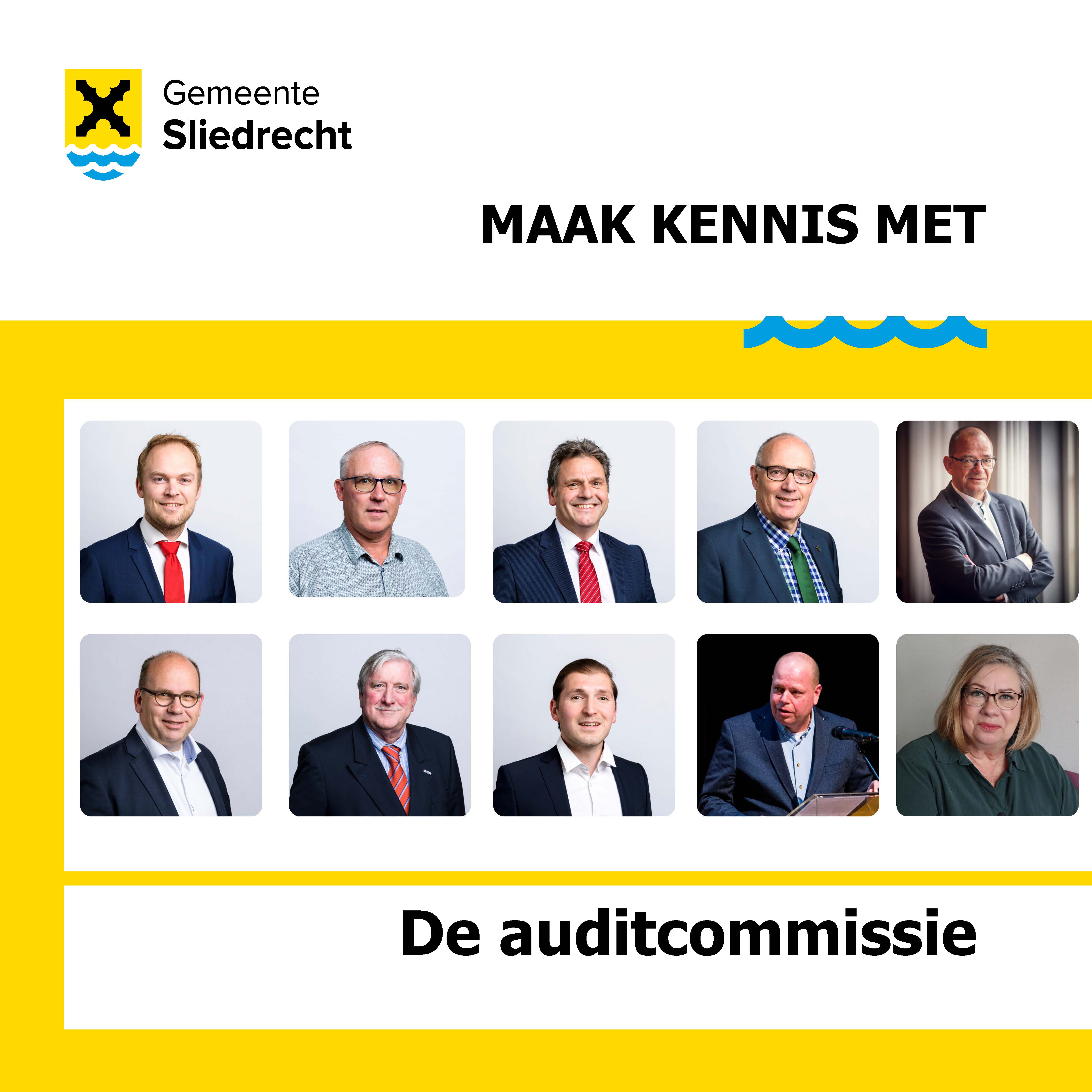 Auditcommissie 