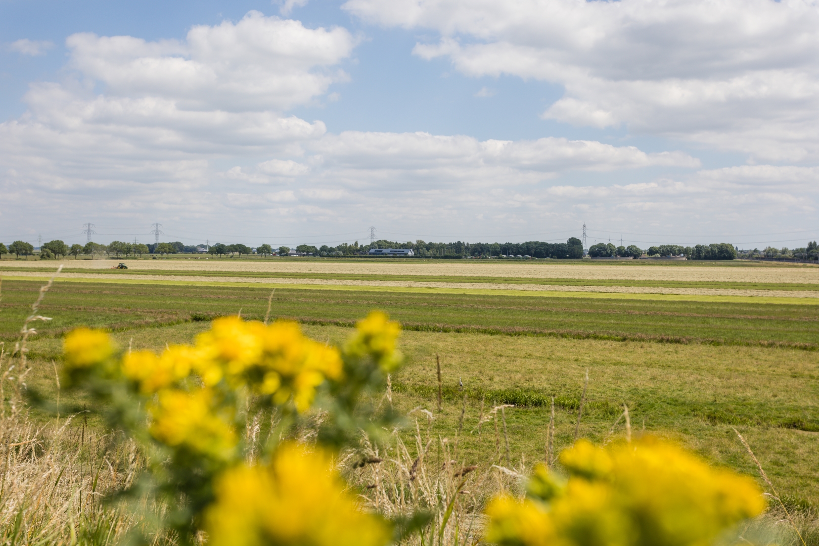 Sliedrecht buiten 