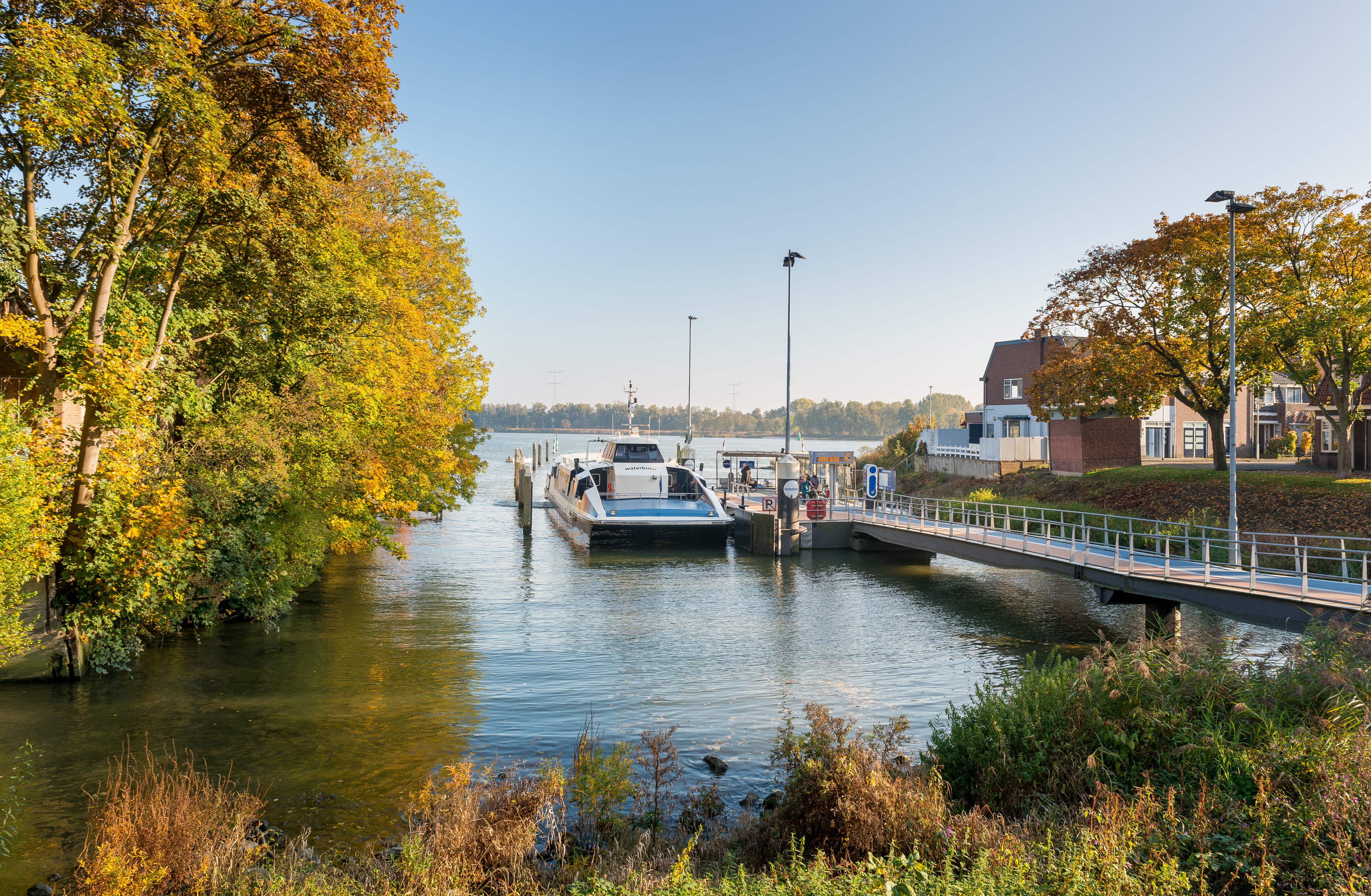 Waterbus 